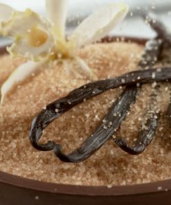 Vanilla Infused Sugar